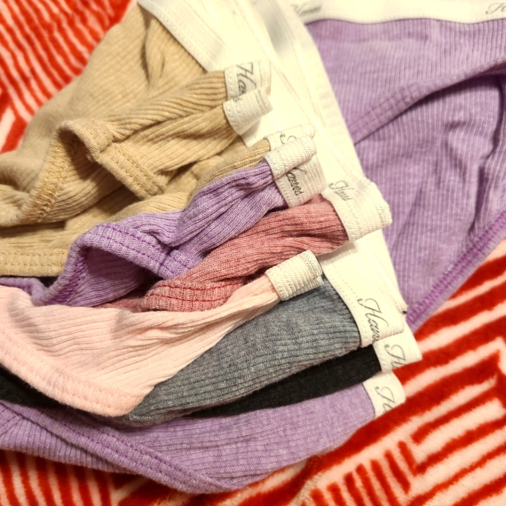 Hanes size 6 hipster panties NEW